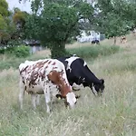 Hainhof Gaestewohnungen Gospodarstwo agroturystyczne