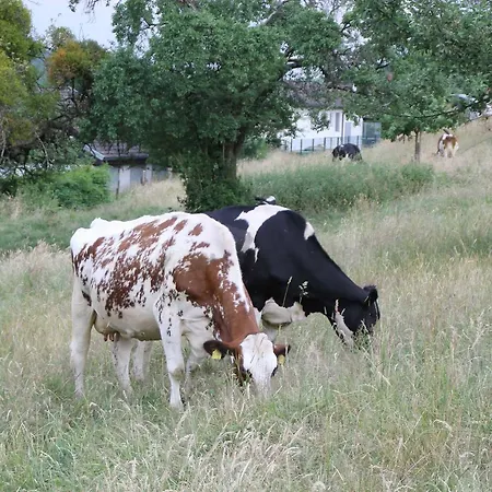 Hainhof Gaestewohnungen Feriegård