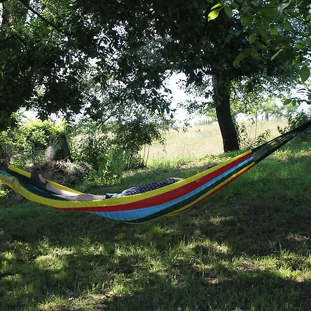 Hainhof Gaestewohnungen Bad König