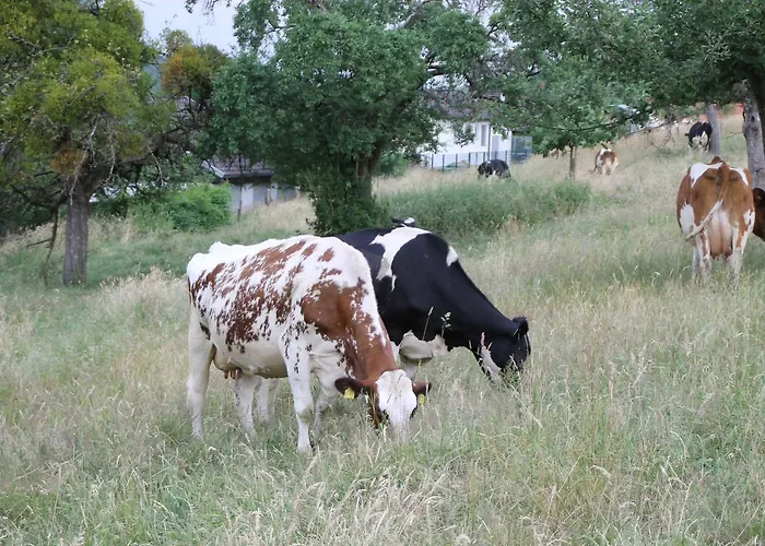 Hainhof Gaestewohnungen Feriegård